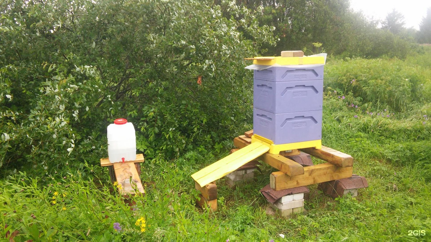 Bio Bee Box. Bee Box Art.