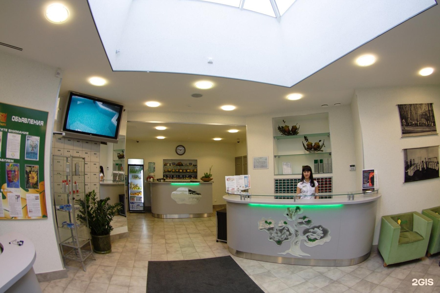 Клуб дубки. Фитнес клуб дубки сестрорецк. Отель дубки нижегородская область. Пансион дубки для детей. Пансионат дубки тарасово сшор зенит.