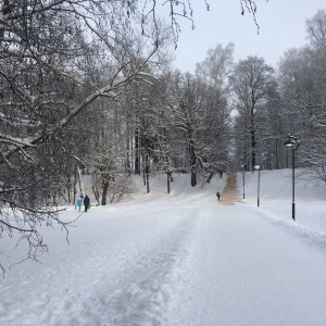 Фото от владельца Удельный парк