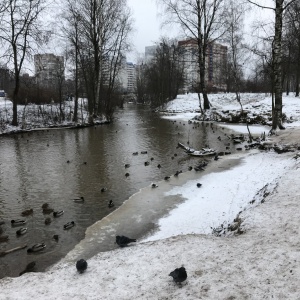 Фото от владельца Парк им. Есенина