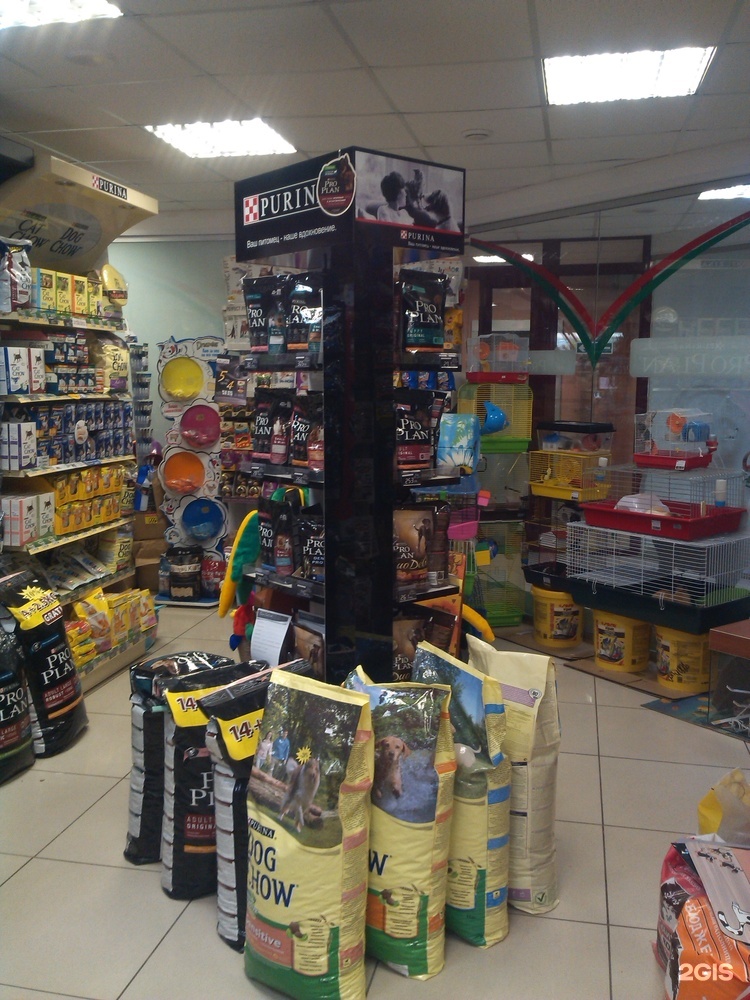 джунгли зоомагазин барнаул. раменки зоомагазин джунгли. магазин джунгли барнаул. зоомагазин. зоомагазин барнаул каталог.