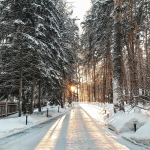 Фото от владельца Лесные дали, парк-отель