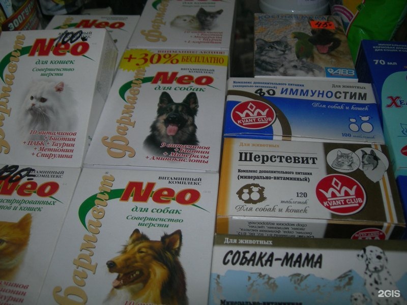 Зоомагазин Барнаул Животные Купить Каталог И Цены