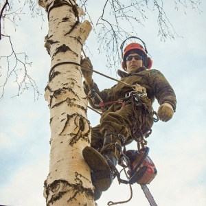 Фото от владельца HardWork64, компания