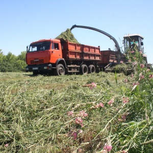 Фото от владельца Управление государственной охраны объектов культурного наследия Белгородской области