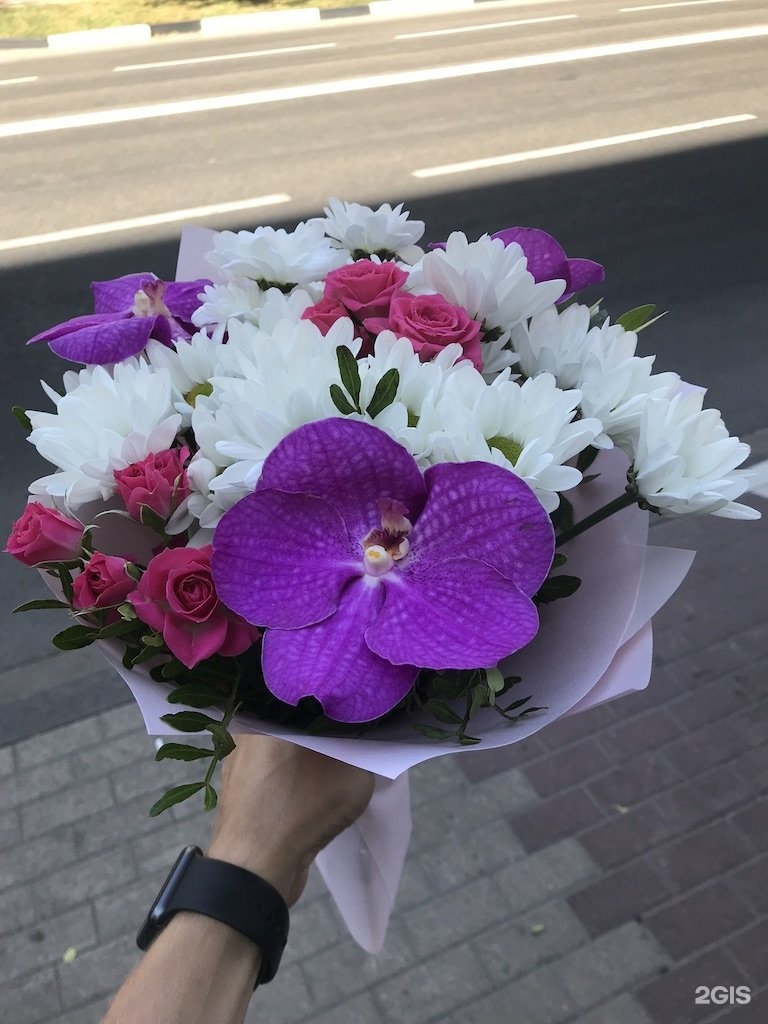 Цветы Белгород Купить Адреса