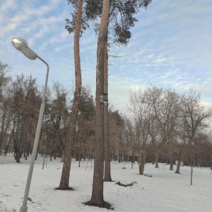 Фото от владельца Белгородский городской парк культуры и отдыха им. В.И. Ленина