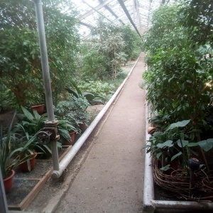 Фото от владельца Ботанический сад г. Кемерово, МП