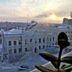 Фото от владельца Академия наук Республики Саха (Якутия)