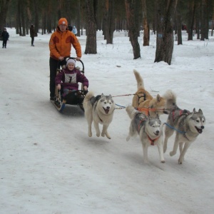 Фото от владельца Загородный, парк культуры и отдыха