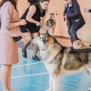 Фото от владельца Мокрый Нос, зооцентр