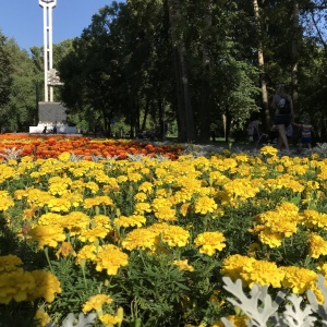 Фото от владельца Новокузнецкий парк культуры и отдыха им. Ю.А. Гагарина