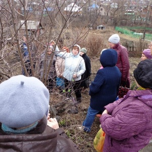 Фото от владельца Сияние, центр природного земледелия