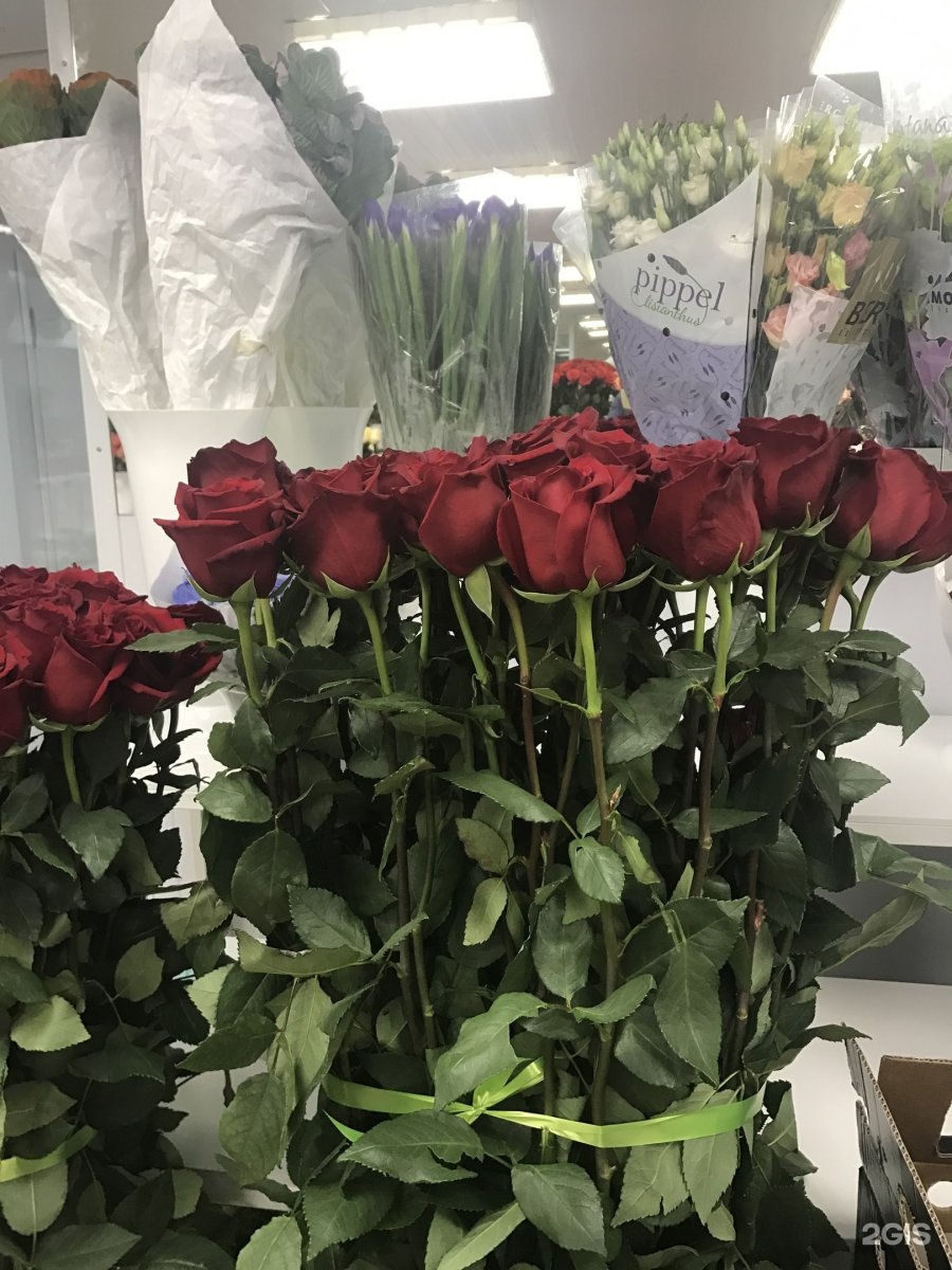 Купить цветы брянск, цветов сафоново ростов