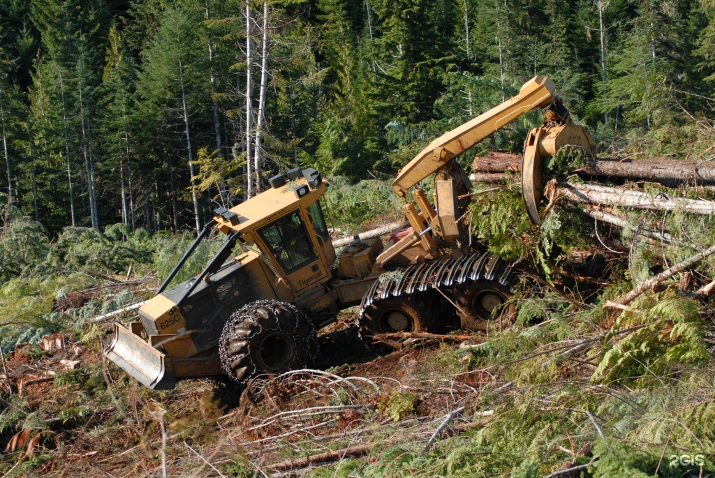 Logging track. Скиддер Тигеркат. Тайгеркэт скидер. Тигеркат Лесозаготовительная техника. Харвестер Tigercat 860 c.