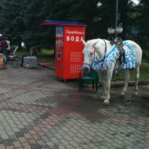 Фото от владельца Центральный парк