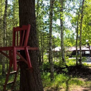 Фото от владельца Бузим, загородный клуб