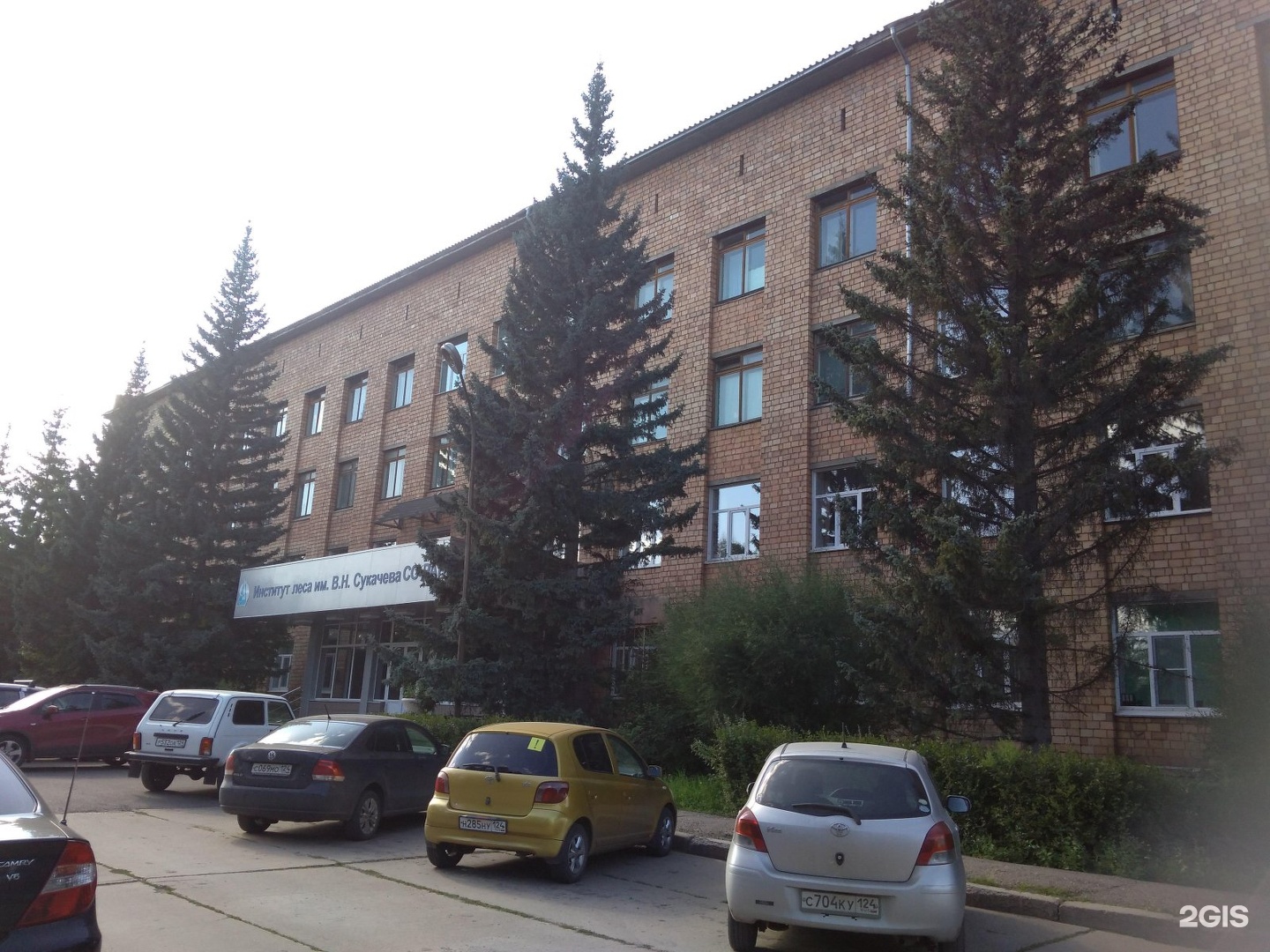 институт леса красноярск официальный сайт. н сукачева со ран. институт леса со ран. институт леса со ран. институт леса красноярск.