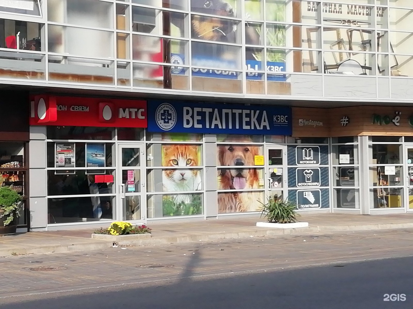 Ветеринарная аптека новороссийск. Ветаптека Новороссийск. Пионерская 2 Новороссийск. Ветеринарная аптека Новороссийск Цемдолина. Пионерская 11 Новороссийск