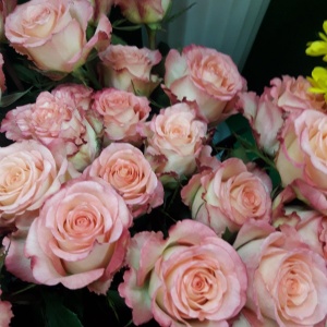 Фото от владельца Цветы Голландии, салон цветов