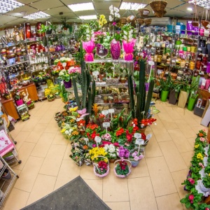 Фото от владельца Кактус flower store, служба доставки цветов