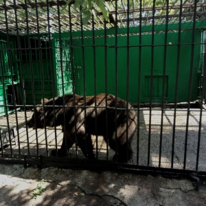 Фото от владельца Карагандинский государственный зоопарк