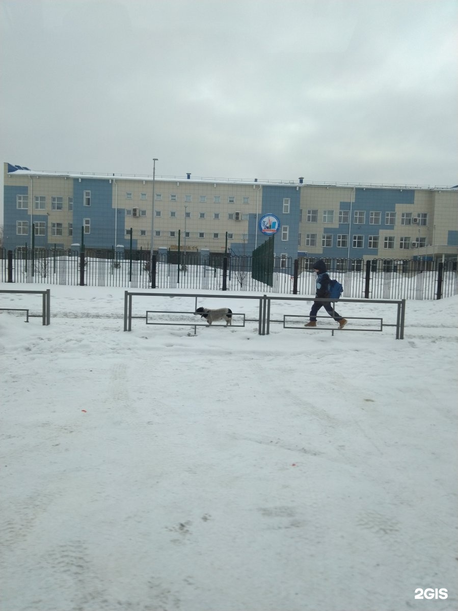 Школа 11 гурьевск кемеровская область