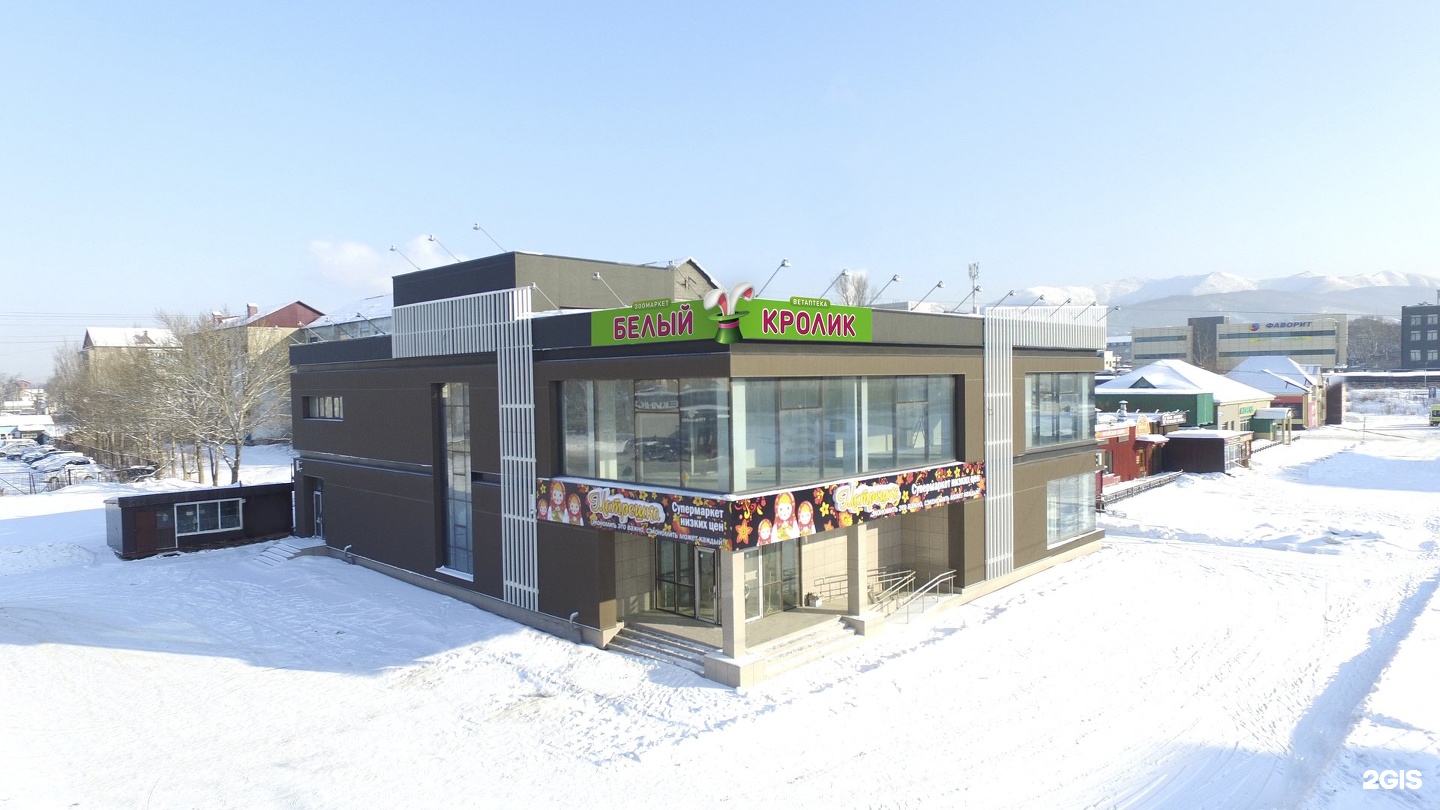 Белый кролик москва. Фарфоровый кролик алиса. "white rabbit" (белый кролик). Кролики южно сахалинск. Белый кролик южно-сахалинск сахалинская.