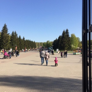 Фото от владельца Екатеринбургский Центральный Парк Культуры и Отдыха им. В.В. Маяковского