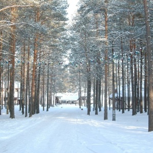 Фото от владельца Плесков, загородный отель