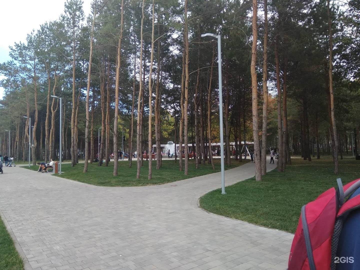 Городской парк здоровья в Альметьевске