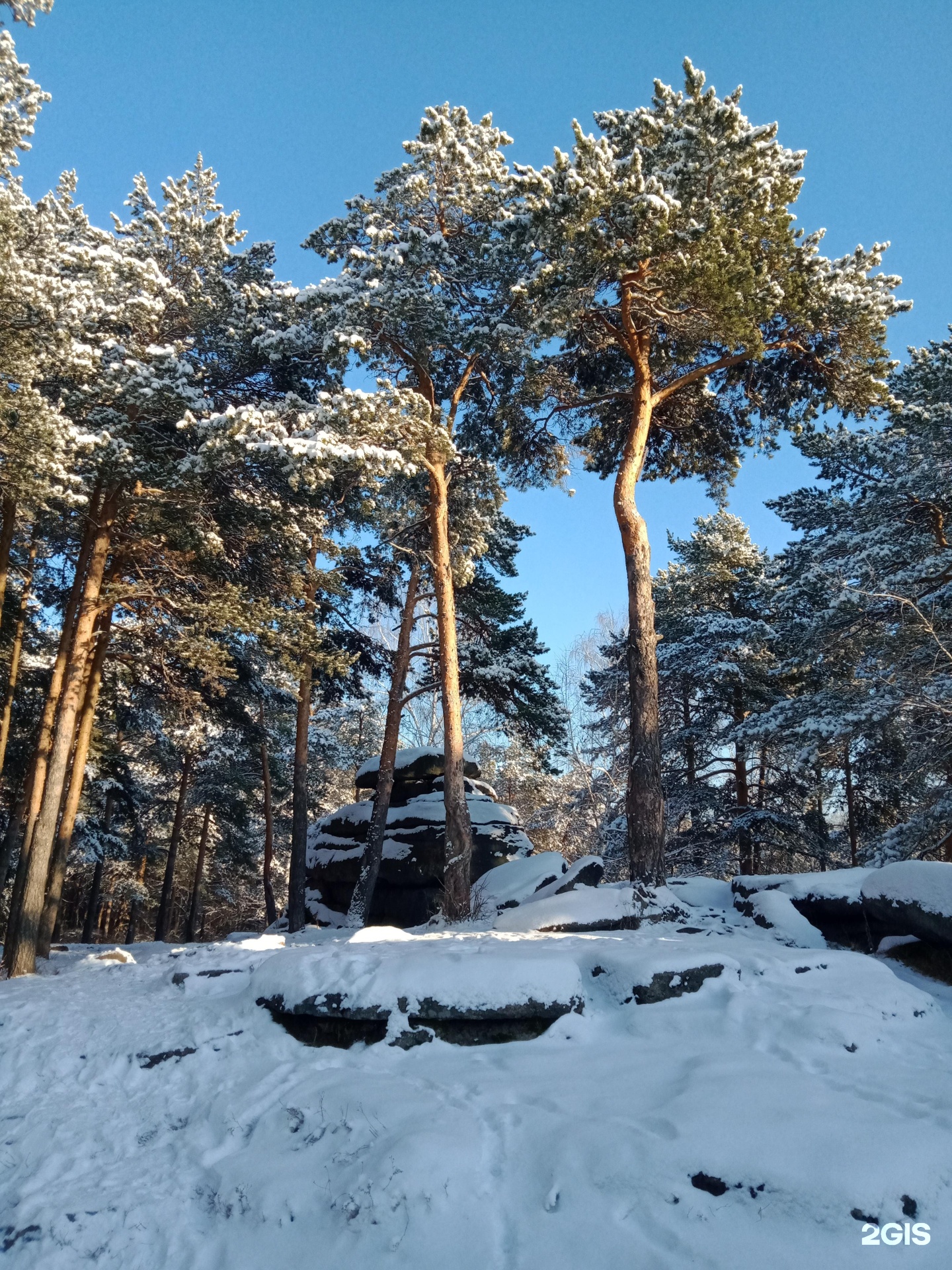 шарташский парк екатеринбург