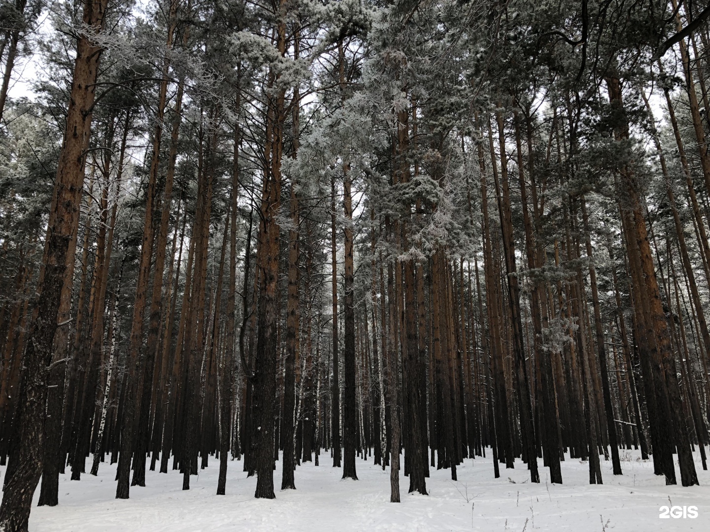 тюмень парк имени гагарина