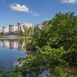 Фото от владельца Южный, ландшафтный парк