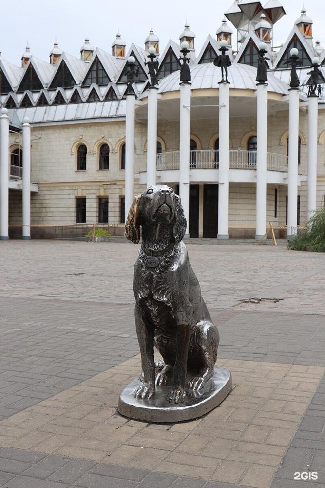 Памятник белому биму в воронеже фото