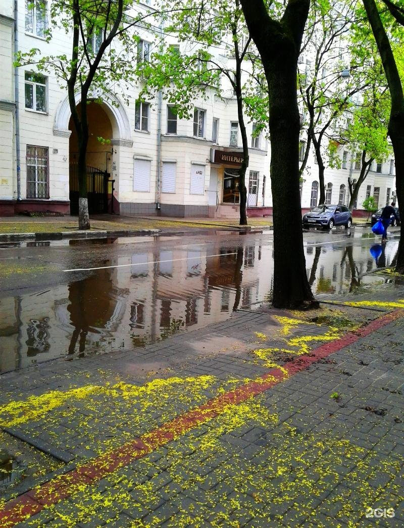 Чайковского 8 Воронеж. Аллергоцентр на Чайковского. Чайковского 8 Балтийск. Чайковского 8 Волжский.