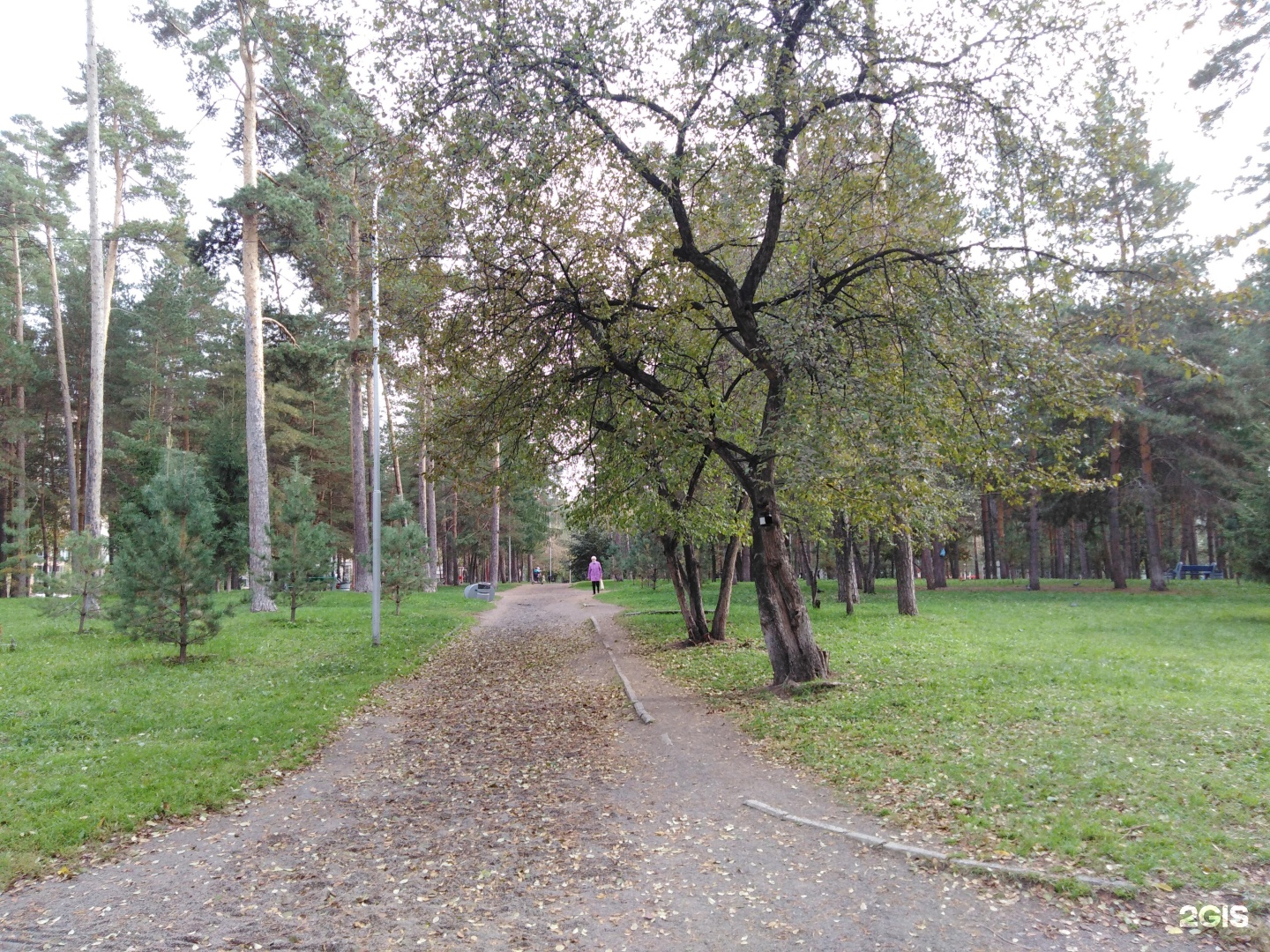 тимирязевский парк сызрань