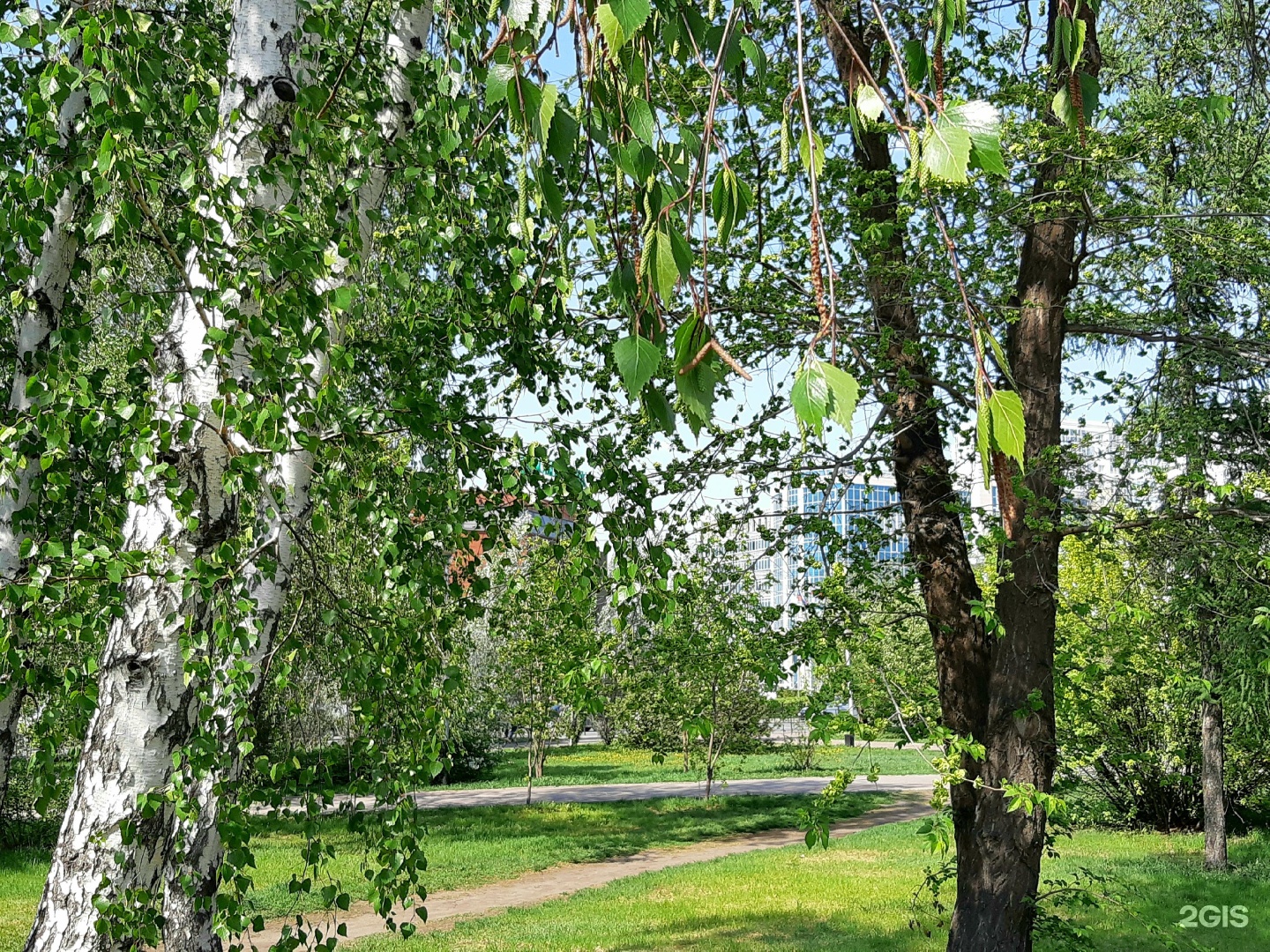 Парк Березки Псков