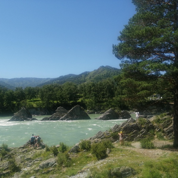 Зубы дракона алтай фото