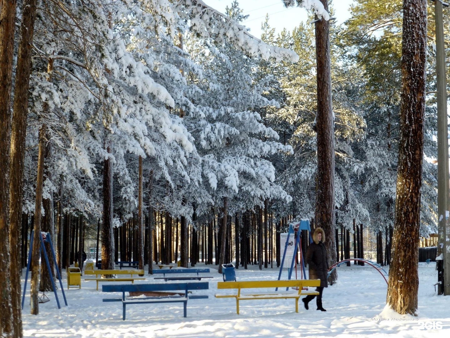 парк в братске