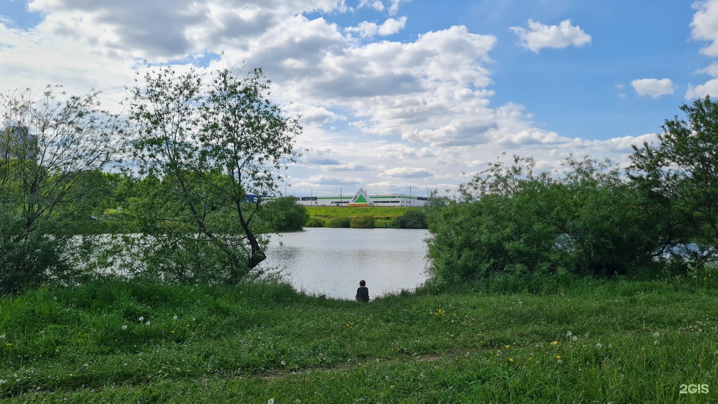 Бойцовский пруд в орловской. Бойцовский пруд орел. Озеро лавровское орловская. Пруд орле. Пруд орле.