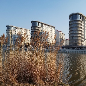 Фото от владельца Южный, ландшафтный парк