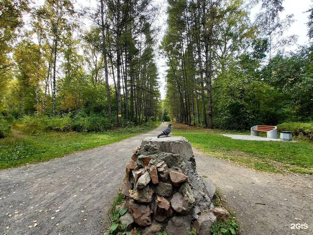 Памятники природы новосибирска