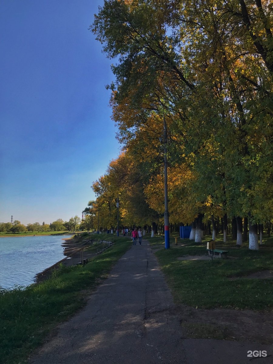 Городская роща. Городская роща Армавир. Городская роща Армавир фото. Посёлок роща Армавир. Город Армавир водохранилище фот.