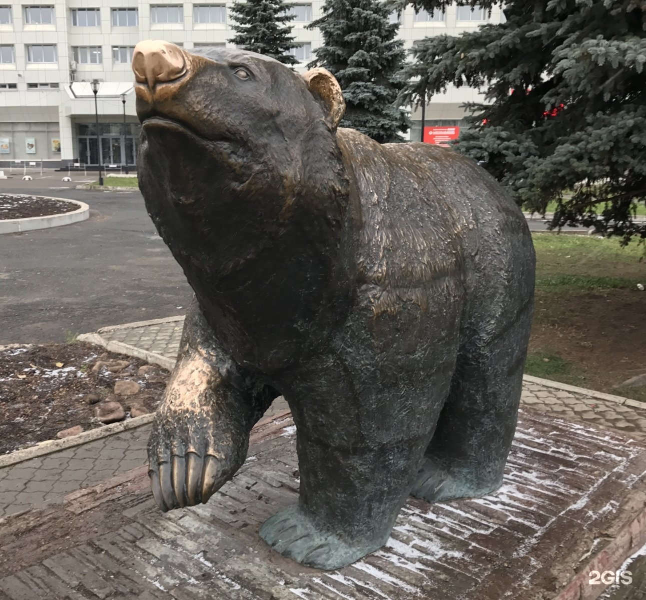 Дню, картинка пермь медведь