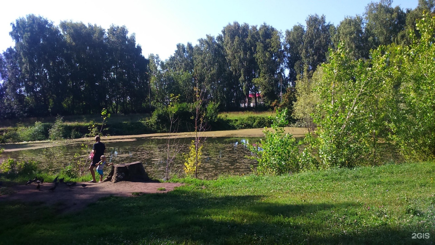 Парк волна затон. Сквер волна Уфа. Парк в Затоне Уфа. Парк волна Уфа.