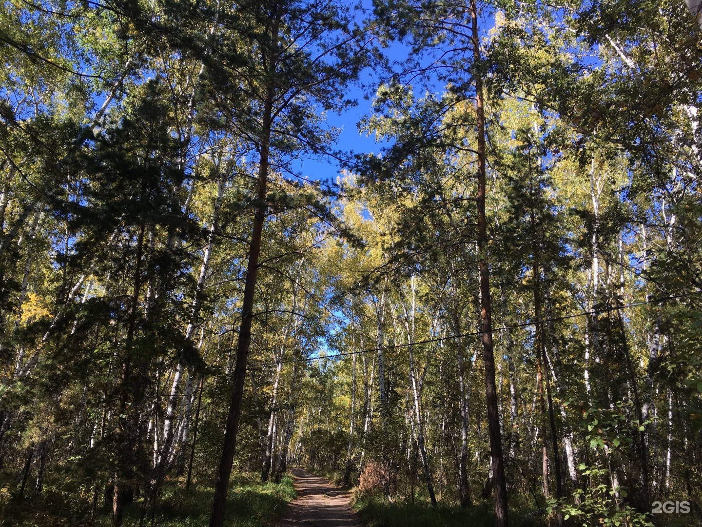 Красноярка. Красноярка Омск. Красноярка Омский район природа. Красноярка Омская область фото. Красноярка Республика Алтай.