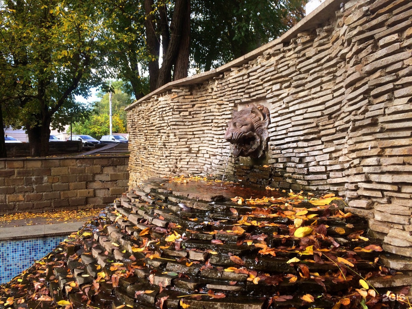 Фонтан голова Льва. Фонтан Лев на Киевской улице Гатчина. Лев Краснодар. Krasnodar City Garden.