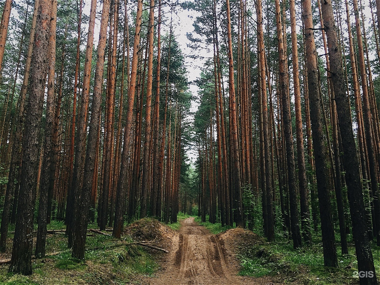 Ярбайкал сайт