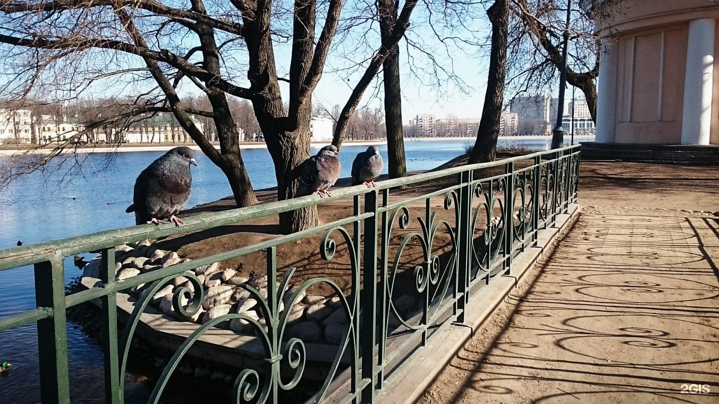 лопухинский сад в санкт петербурге